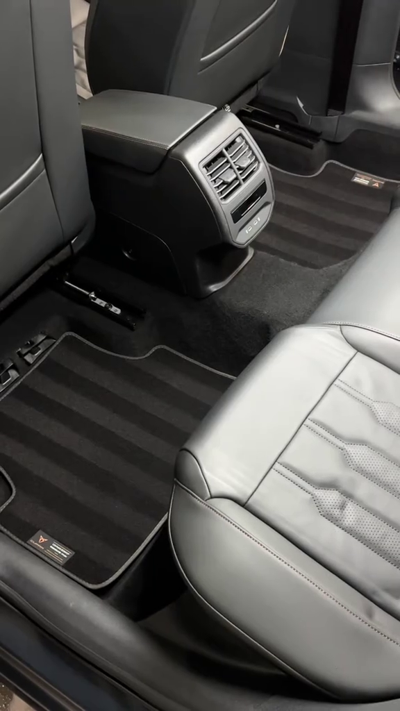 Limpieza interior detallada